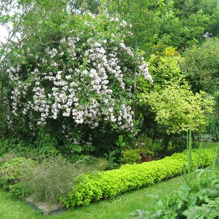 Du Roheran Tatil Evi